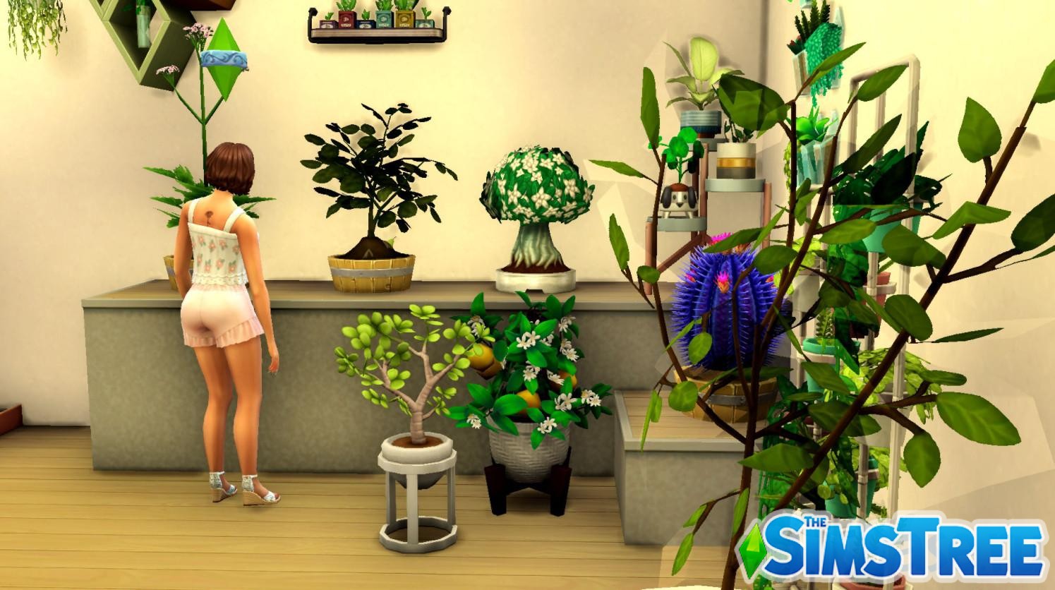 Создание функциональных домашних растений с помощью Прививания в Sims 4