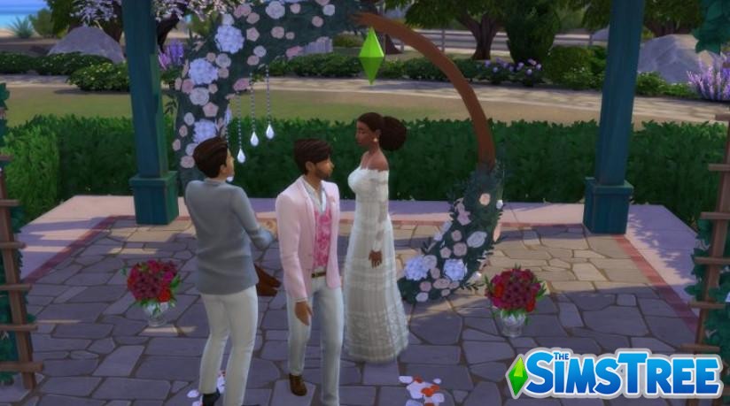 Челлендж «Амбициозная вдова»