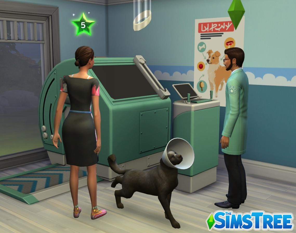 Челлендж «Дом и работа ветеринара»