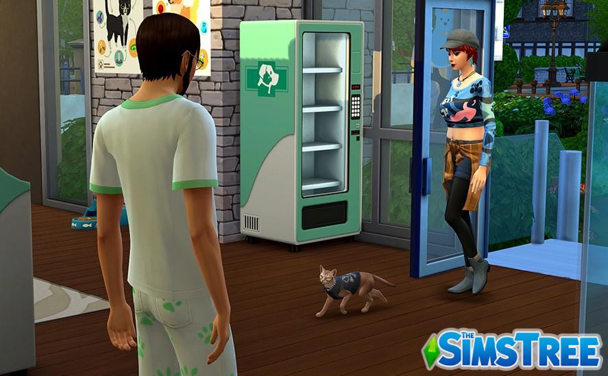 Челлендж «Дом и работа ветеринара»