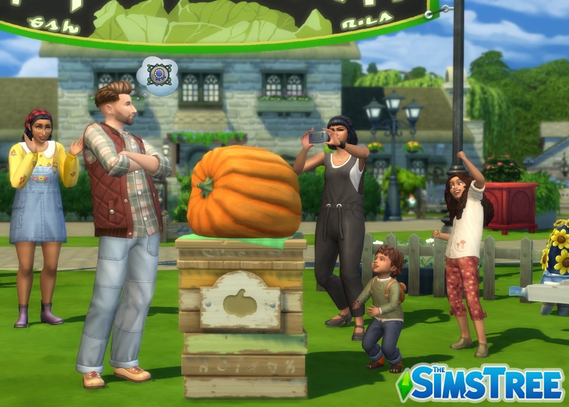 Челлендж «Из города в город». Часть 2