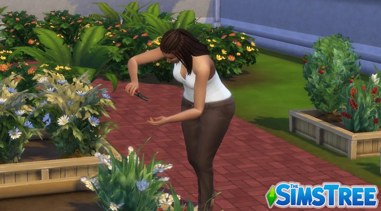 Челлендж «Романтика, магия и Амброзия или Долгая жизнь»