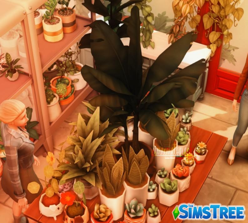 Магазин цветов для расширения Комнатные растения от simnematographygj для Sims 4