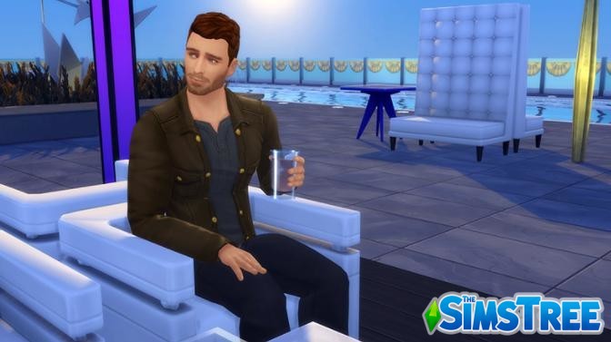 Мод «Добавление алкоголя v 6.7» от basementalcc для Sims 4