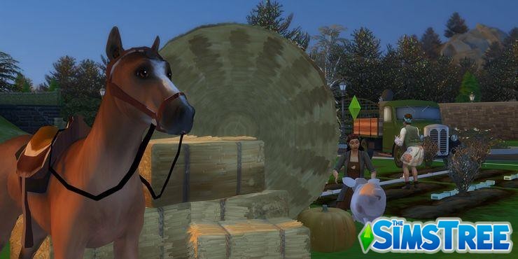 Мод Фермерский город Farmland против Sims 4 Загородная жизнь