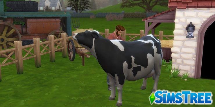 Мод Фермерский город Farmland против Sims 4 Загородная жизнь