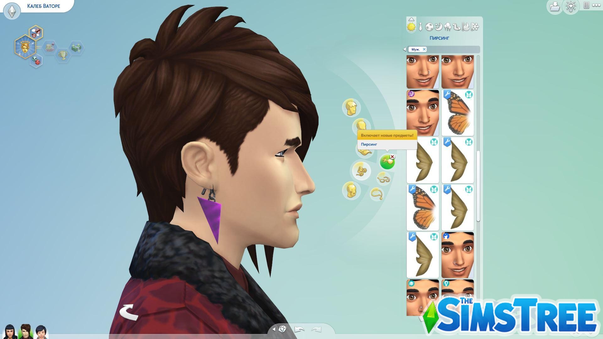 Прохождение мода «Феи против ведьм» от SpinningPlumbobs для Sims 4