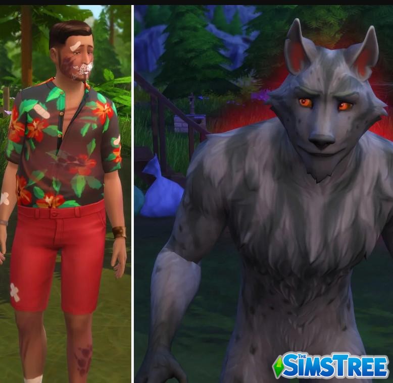Все варианты как стать Оборотнем в Sims 4