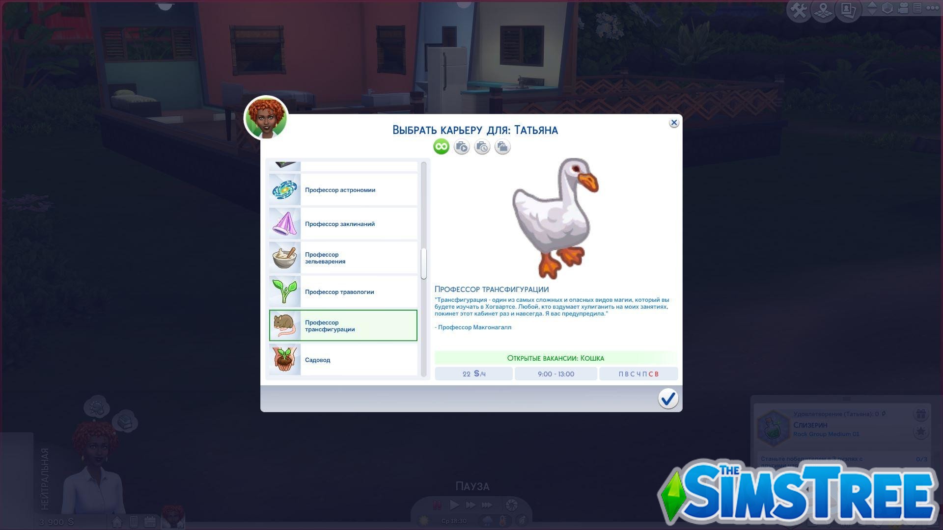 Мод «Набор Гарри Поттер» от Snowiii95 для Sims 4