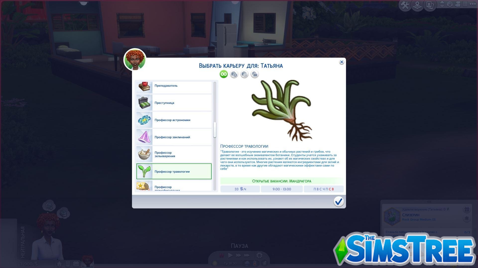 Мод «Набор Гарри Поттер» от Snowiii95 для Sims 4