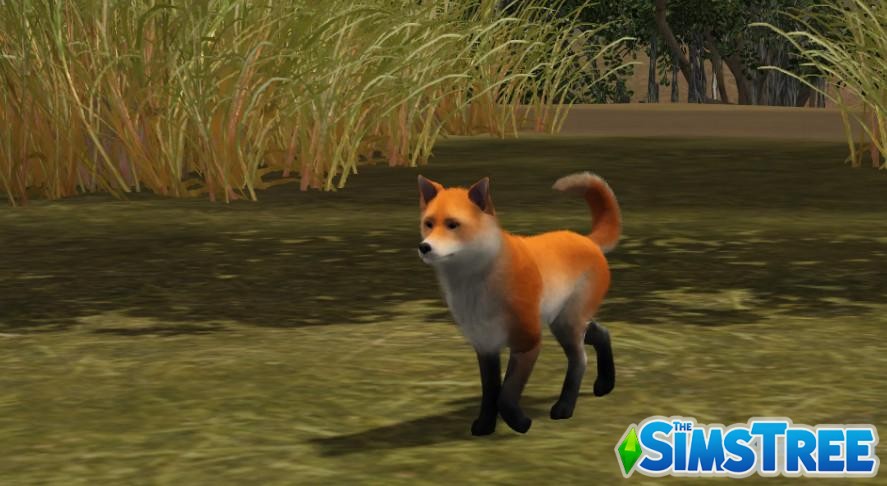 Набор небольших и полезных модов от bienchen для Sims 4. Часть 4