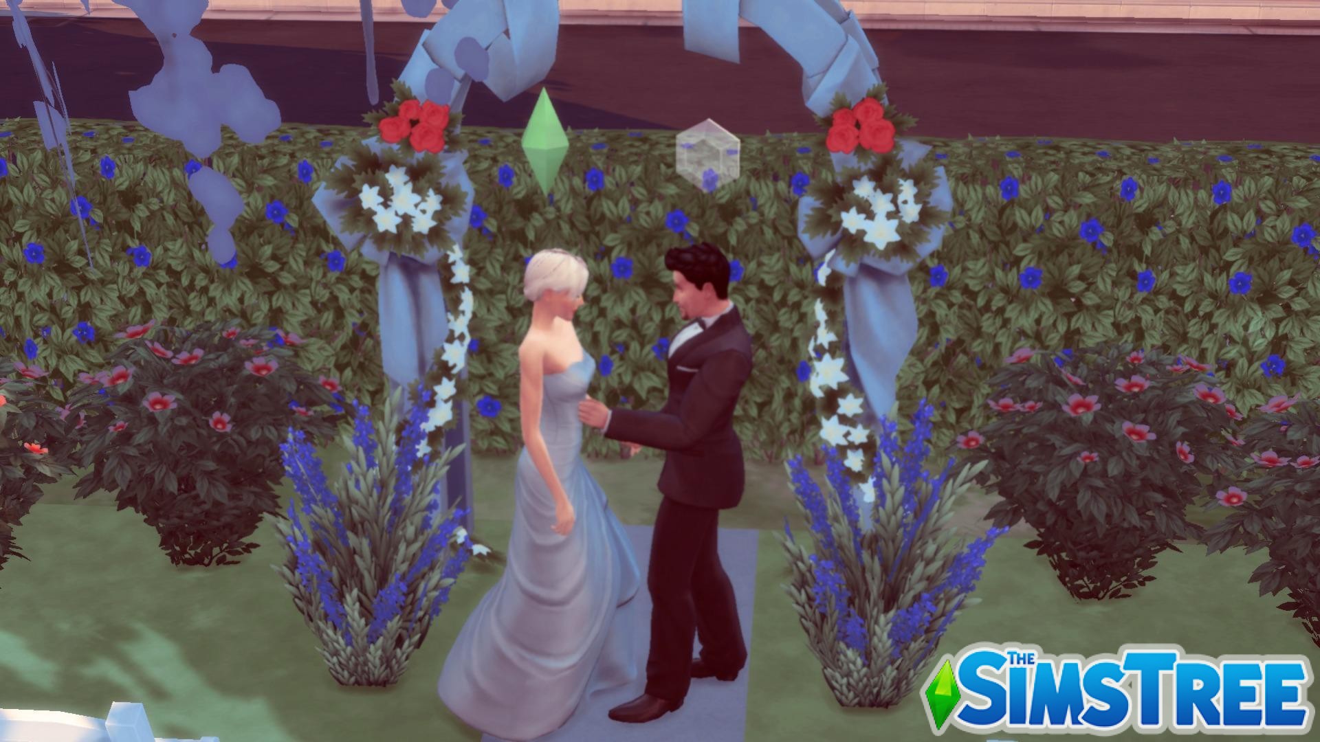 Челлендж «Любовь до гроба» (Чёрная вдова)