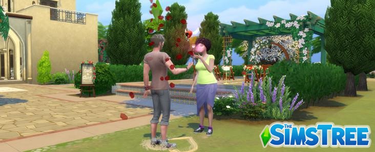 Мод «Страстный роман или Passionate Romance v 1.5.4» от SACRIFICIAL для Sims 4
