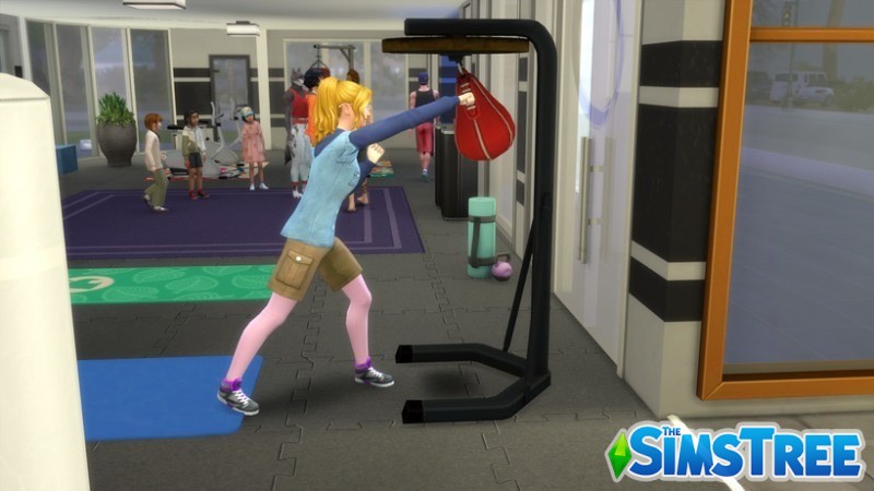 Функциональная боксерская груша