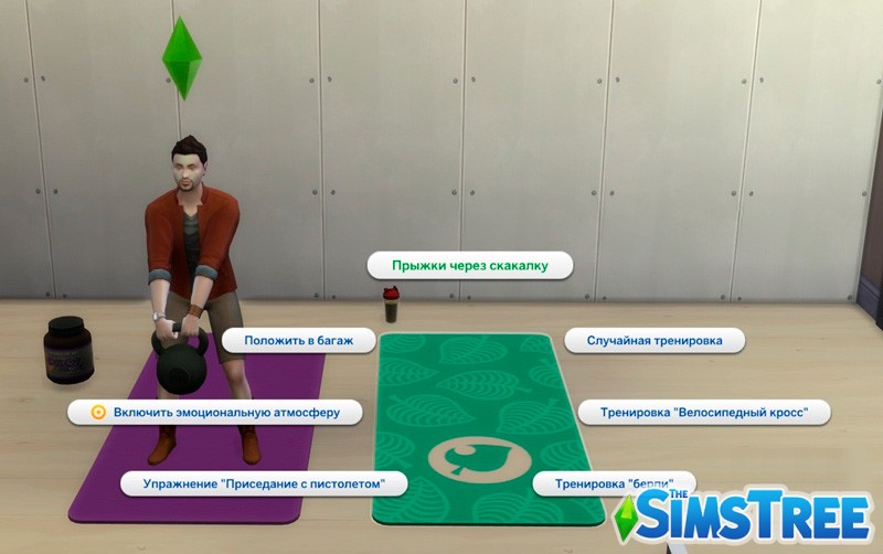 Функциональные предметы для фитнеса