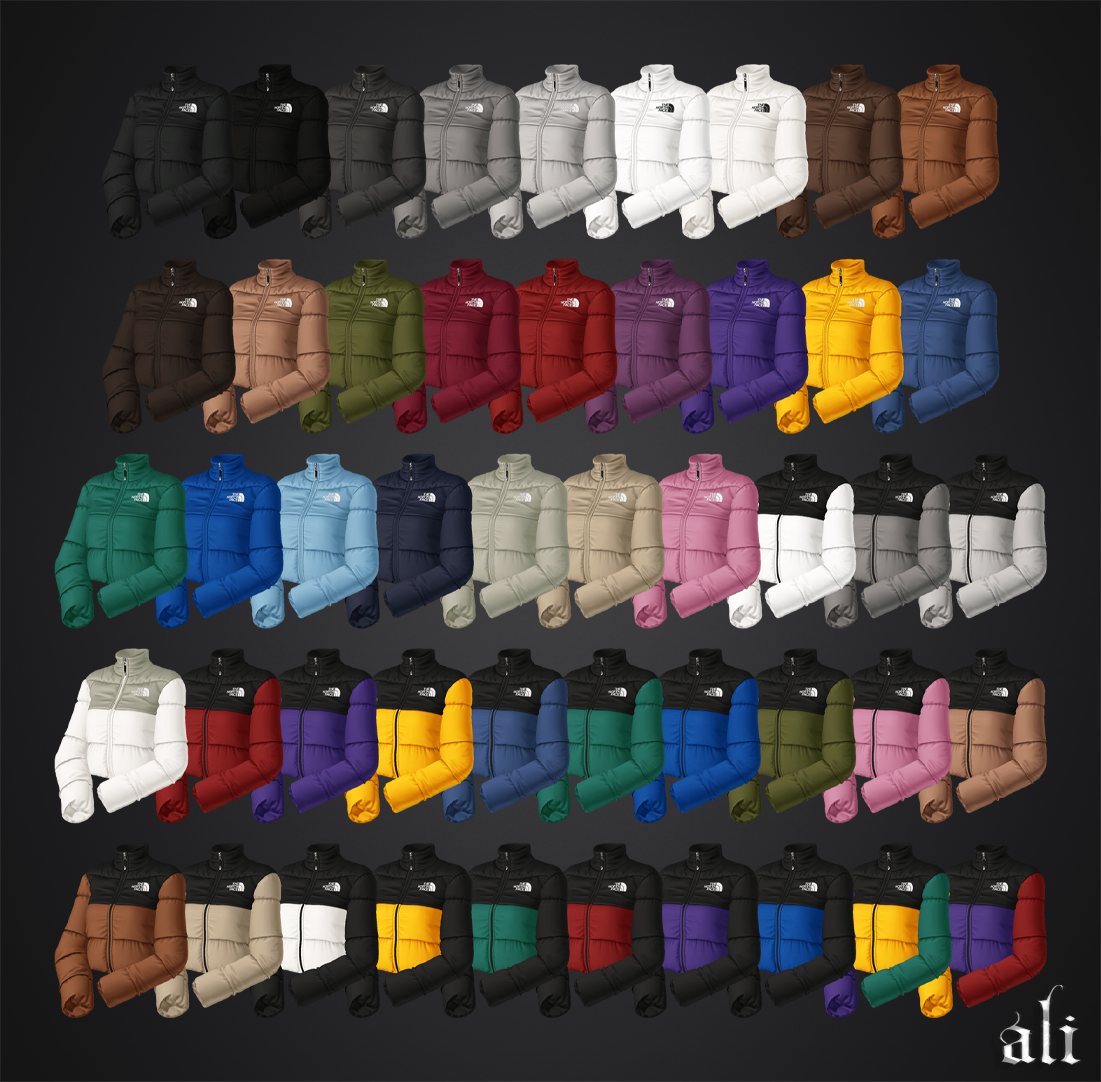 Куртка THE NORTH FACE Jacket