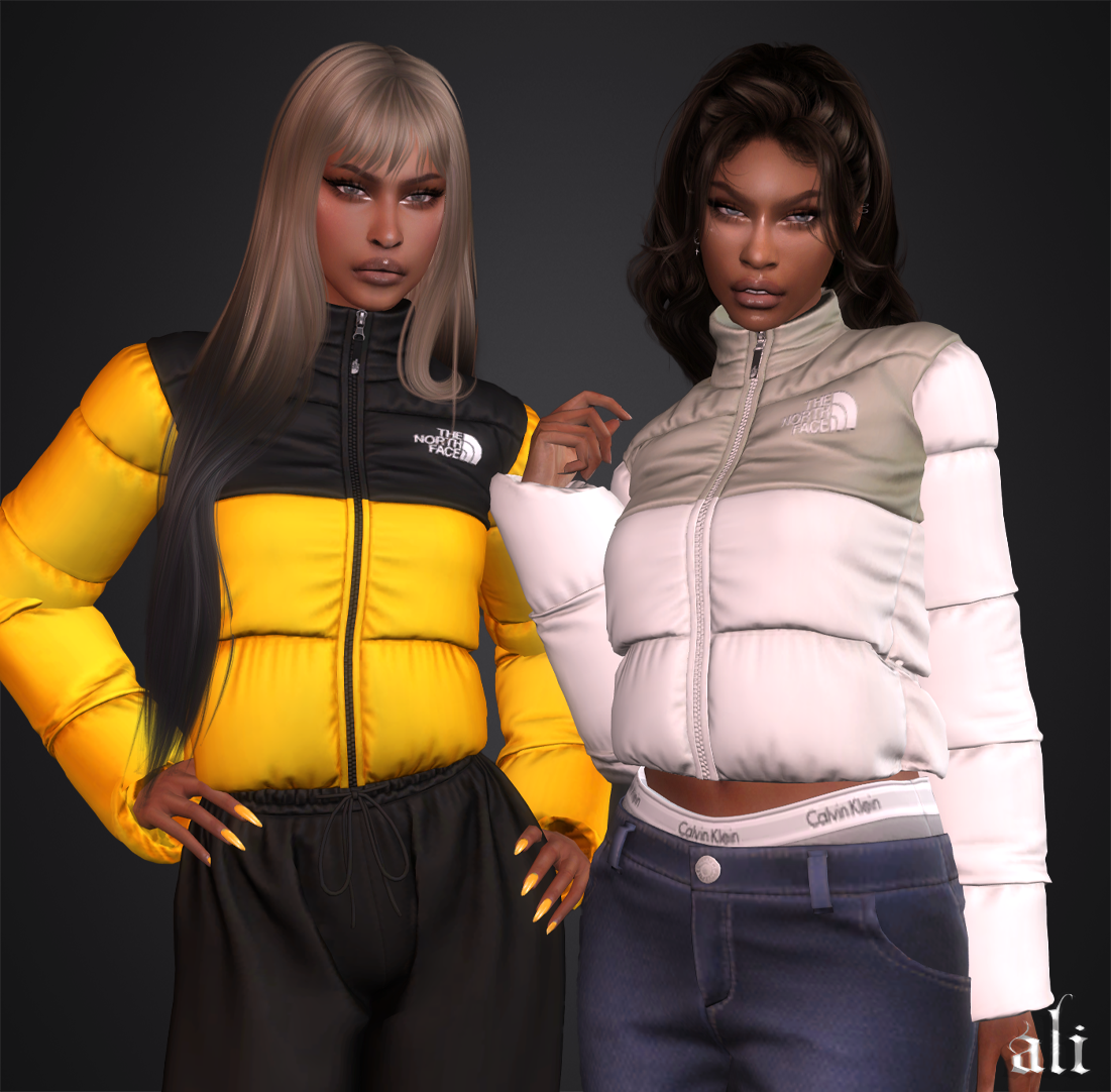 Куртка THE NORTH FACE Jacket