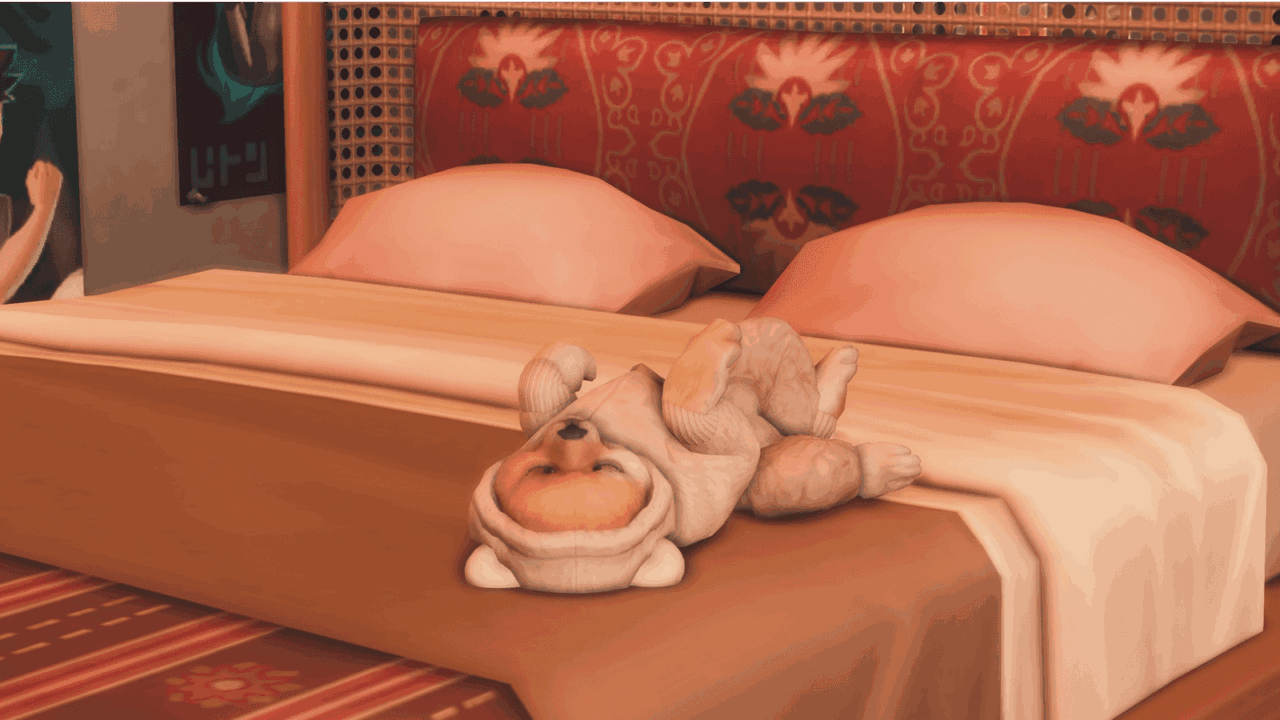 Питомцы Могут Спать На Кроватях